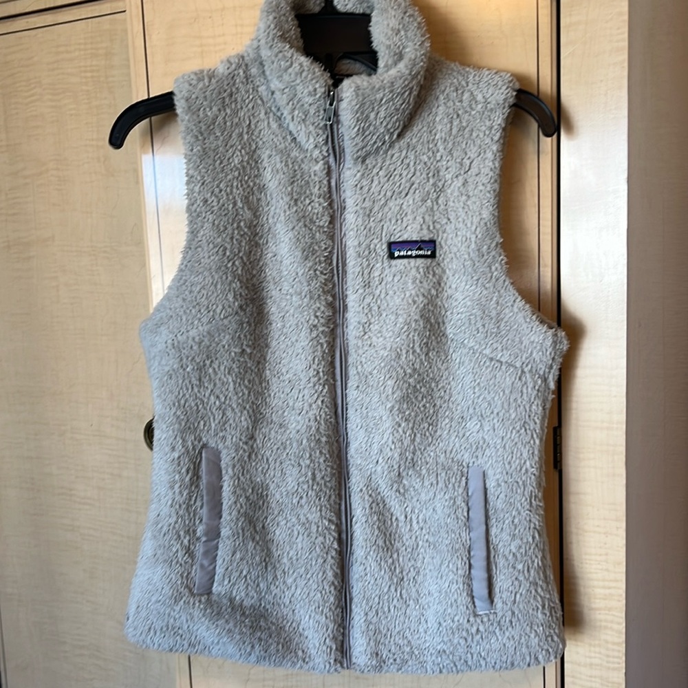 Beautiful Patagonia fleece vest!
